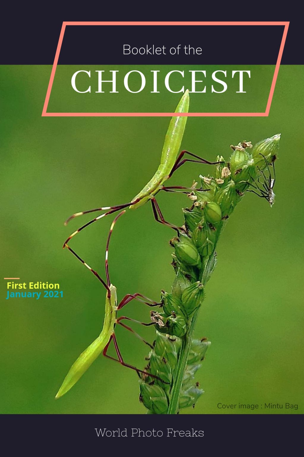 BOOKLET OF THE&nbsp;CHOICEST.