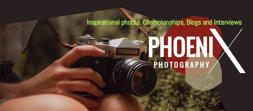 Best of PHOENIX PHOTOGRAPHY&nbsp;2021